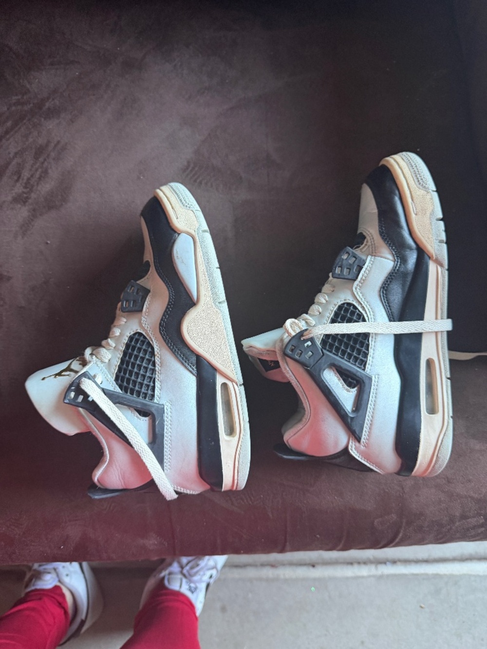 Nike Air Jordan 4 Special Edition platinum